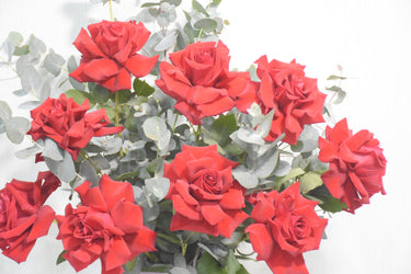 Red Rose Eucalyptus Ceramic Vase Arrangement